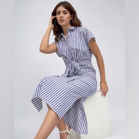 Blue Stripe Collared Dress - Picture 1 of 5